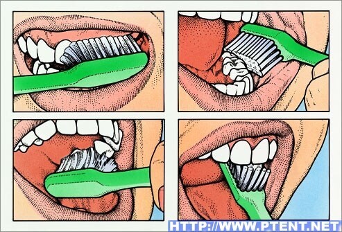 brush-your-teeth-3